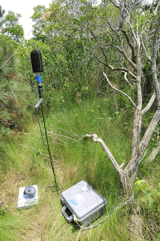 A sound level meter in the field